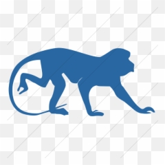 Iconsetc Simple Blue Animals Monkey 1 Icon - Today Very Unique Day 10102020 Png,Monkey Icon