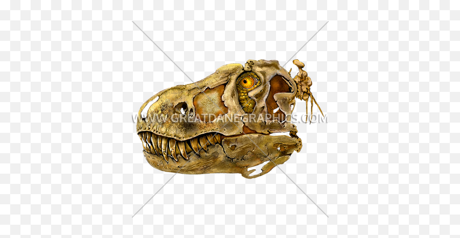T - Rex Skull Production Ready Artwork For Tshirt Printing Python Png,Dinosaur Skull Png
