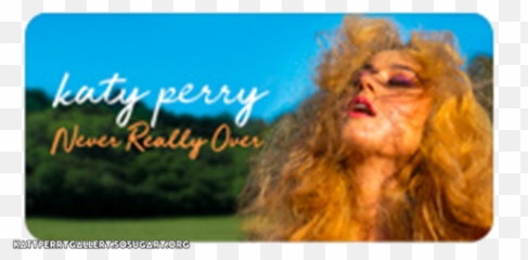 Never Really Over Pre - Save Screenshot Promo Pics Never Really Over Katy Perry Lyrics Png,Katy Perry Png