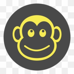 Yellow Monkey Studio - About us Mooc Ipv6 png