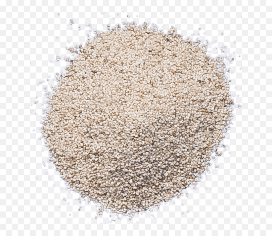 White Poppy Seeds - Poppy Seeds Png,Seed Png