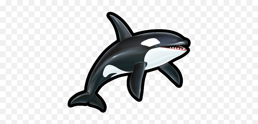 Orca - Orca Sonic Png,Orca Png