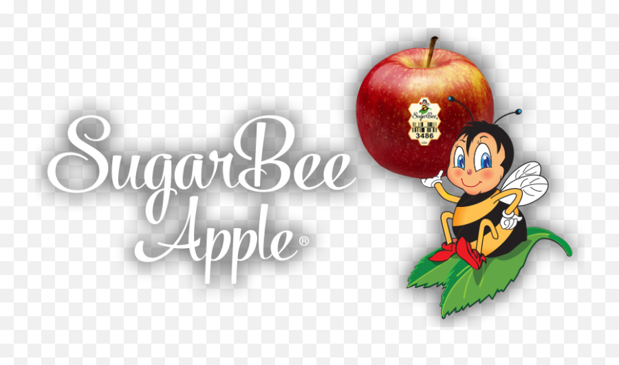 Logo - Sugarbeeplu Sugarbee Apples Mcintosh Png,Apple Logo 2018