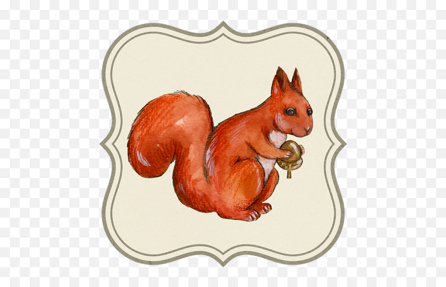Graphic Design Watercolor Png Squirrel - Squirrel,Squirrel Transparent Background