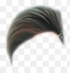 200 Hair Png Download All Latest 2020 New - One Side Hair Cutting,Boys Png