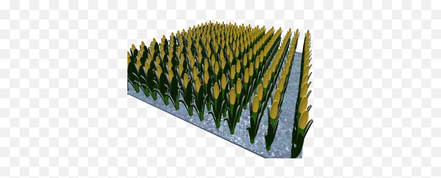 Corn Field - Roblox Bullet Png,Corn Field Png
