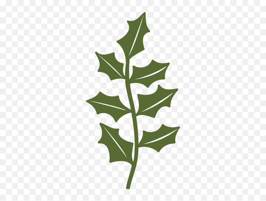 Leave Tree Christmas Decos Vector - American Holly Png,Christmas Leaves Png
