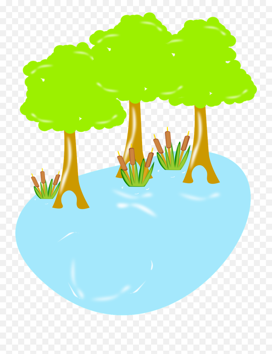 Swamp Biology Wildlife - Illustration Png,Swamp Png