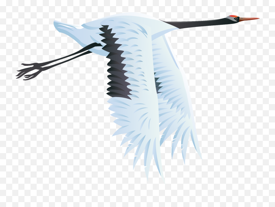 Crane Bird Transparent Background - Transparent Crane Bird Clipart Png,Bird Transparent Background