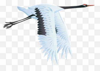 Crane Bird Transparent Background - Clipart png