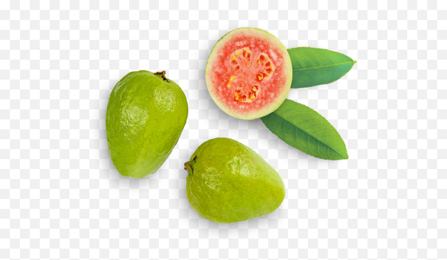 Common Guava Transparent Png Image - Guava Png,Guava Png