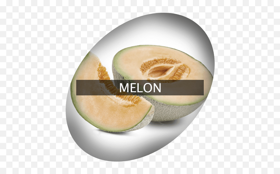 Melon Indigrowcom - Honeydew Png,Melon Png