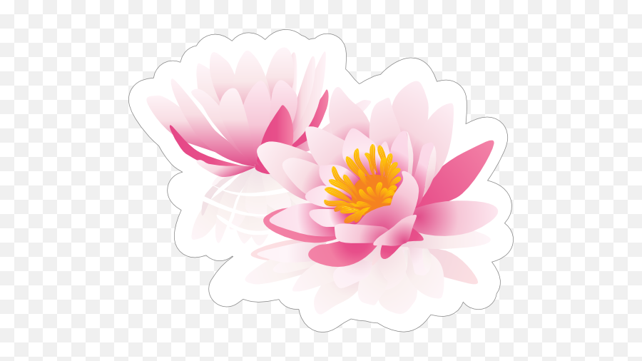 Two Pink Lotus Flower Sticker - Language Png,Lotus Flower Transparent Background