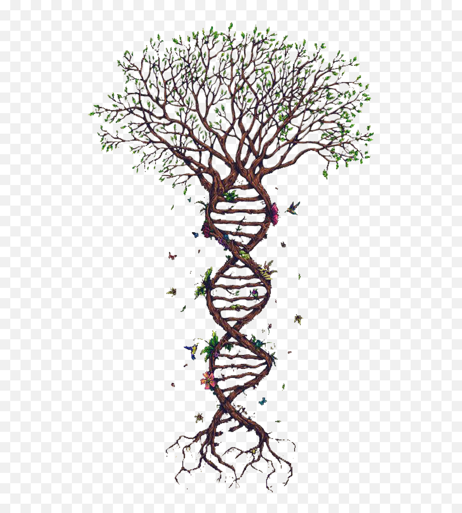 Pngs Dna Strand Forensics - Roots Are Deep There Is No Reason Png,Dna Strand Png