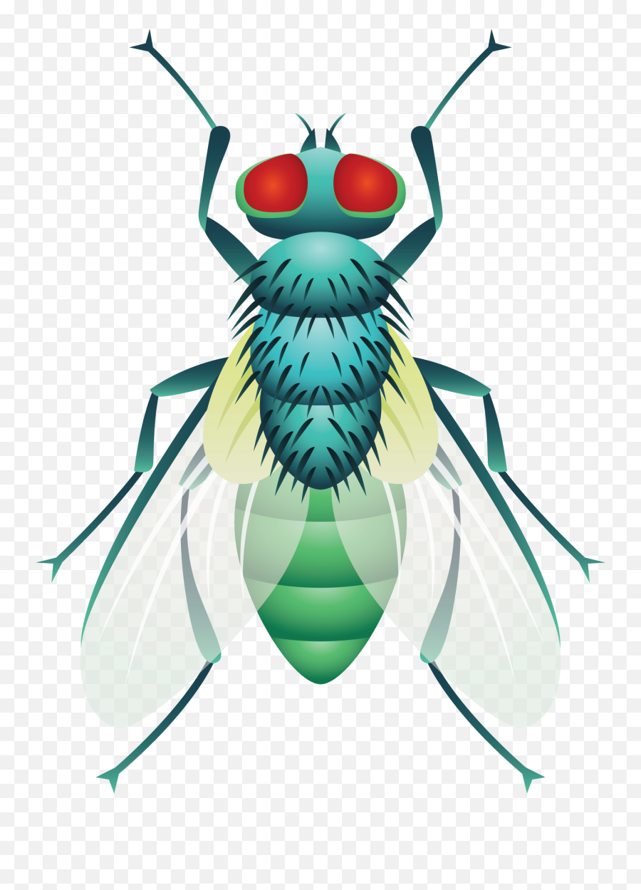 Beetle Cockroach Fly - Vector Mosca Png,Flies Png