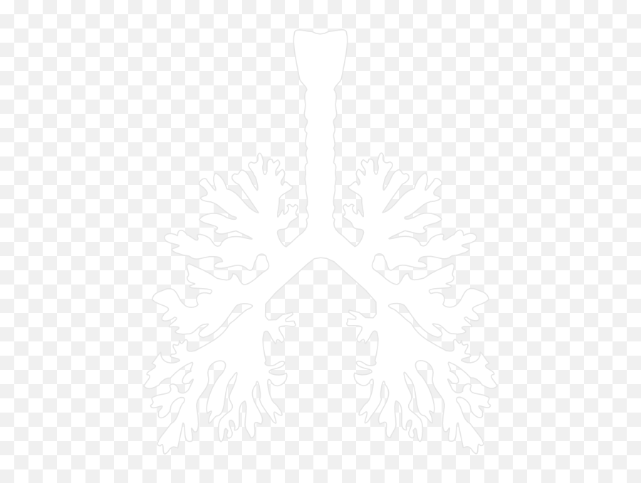 Download Lung Png - Lung,Lung Png