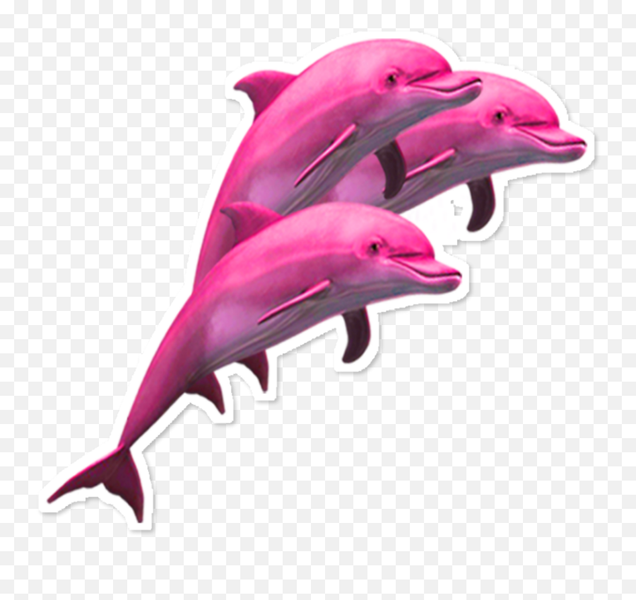 Ftestickers Scdolphin Dolphins Clipart - Transparent Aesthetic Dolphin Png,Dolphin Transparent Background