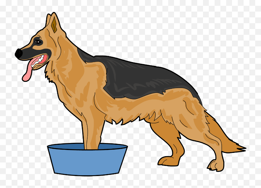 How To Cure Itchy And Irritated Dog Paws German Shepherd - German Shepherd Has Itchy Feet Png,German Shepherd Transparent