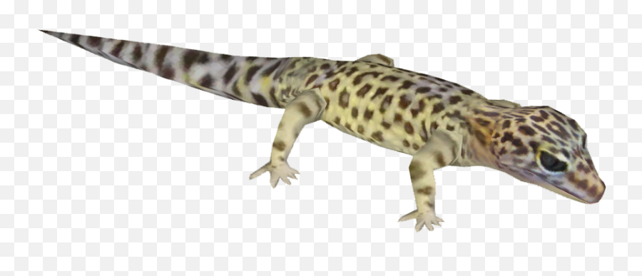 Leopard Gecko - House Geckos Png,Leopard Gecko Png