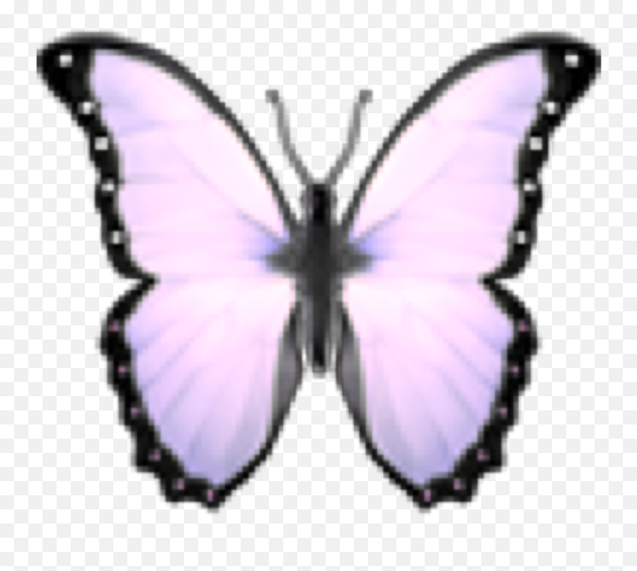 Butterfly Emoji Wallpapers - Girly Png,Butterfly Emoji Png