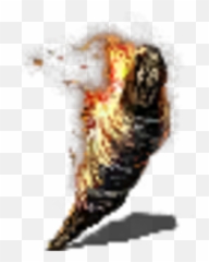 Torch - Parrot Png,Torch Png