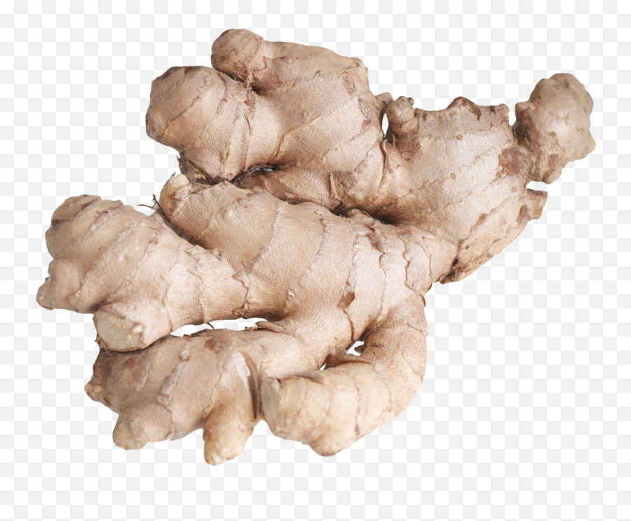 Ginger Icon Png 18306 - Ginger Root Png,Ginger Icon