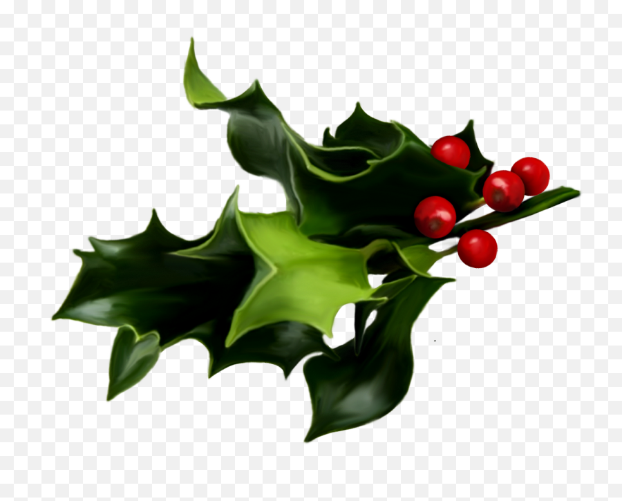 Holly And Ivy Png - Transparent Background Mistletoe Png,Ivy Png