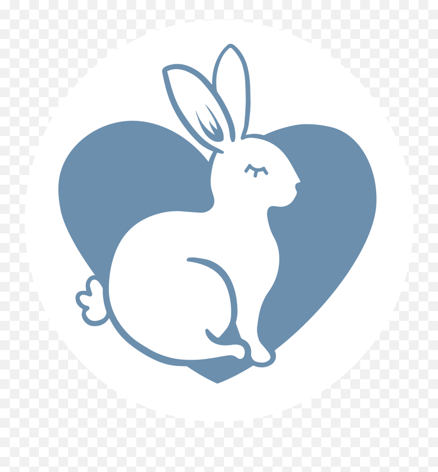 Our Commitment Daily Skin Essentials First Aid Beauty - Domestic Rabbit Png,First Aid Icon Color