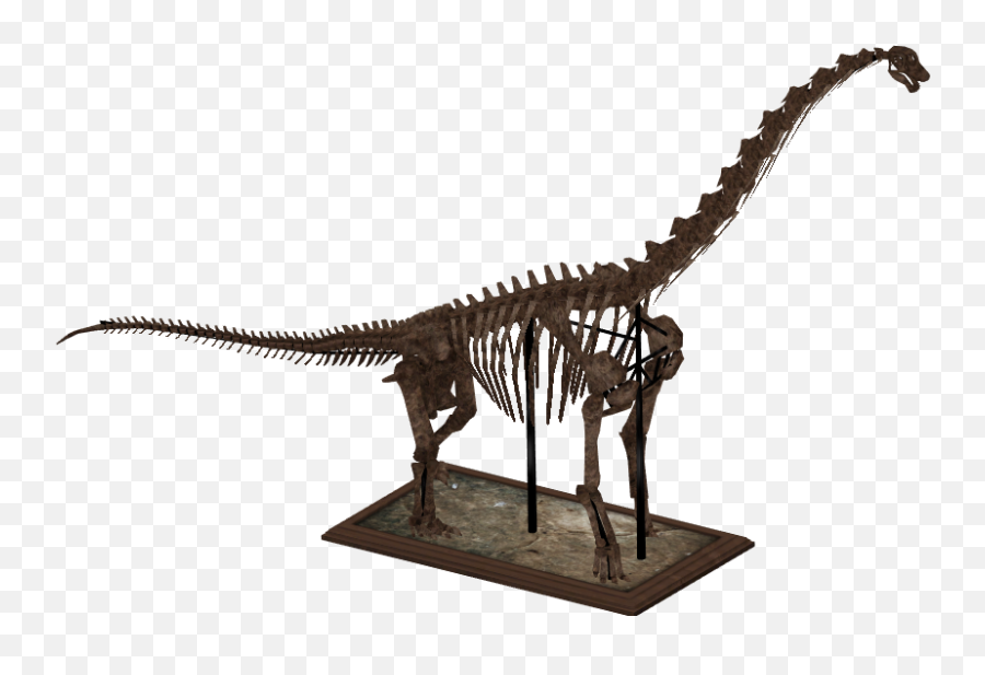 Download Hd Brachiosaurus Skeleton - Zt2 Dinosaur Skeletons Brachiosaurus Skeleton Png,Dinosaur Skull Png