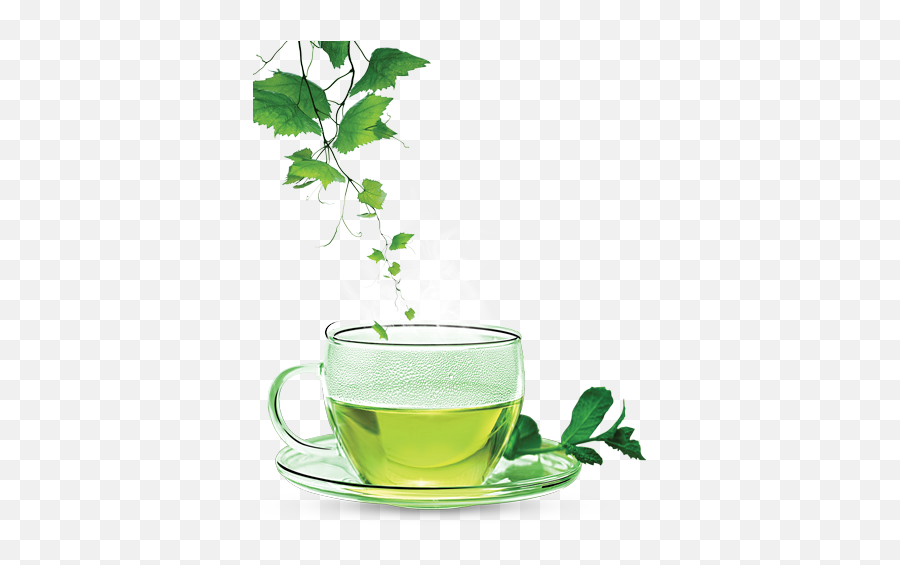 Green Tea Png Clipart Background - Green Tea Png Transparent,Tea Png