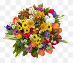 Flowers Png Images Rose Tulip
