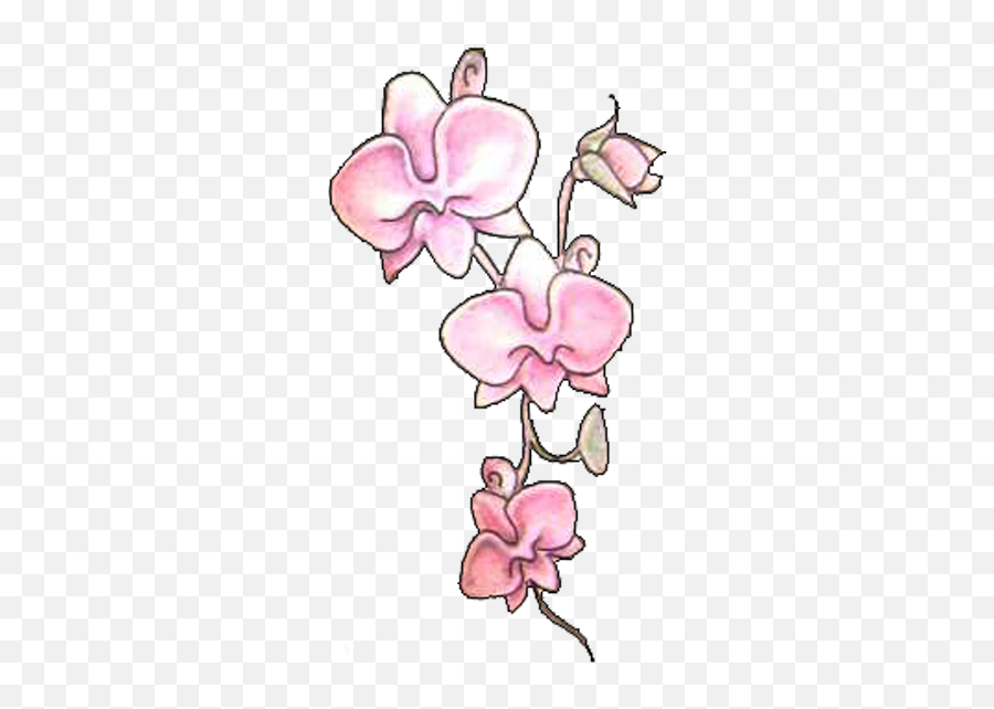 Download Pink Orchid Flowers Tattoos - Orchid Tattoos Png,Flower Tattoo Png