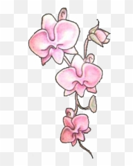 Download Pink Orchid Flowers Tattoos - png