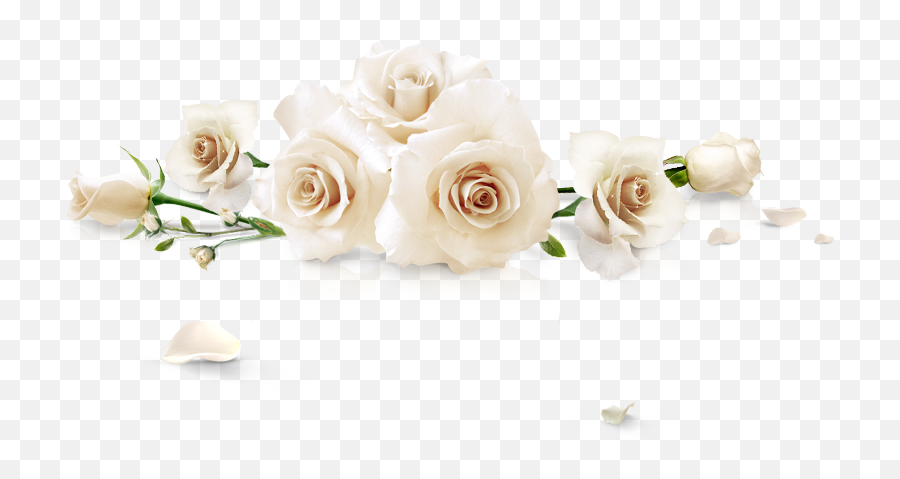 White Rose Border - Portable Network Graphics Png,White Roses Png