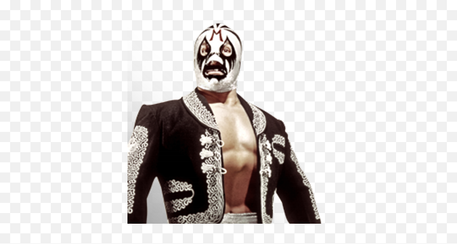 Flair Region St Louis Subregion Second Round 3 Randy - Mil Mascaras Png,Randy Savage Png