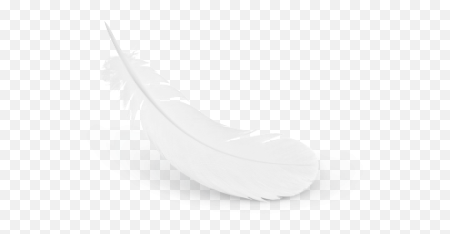 Milky White Feather Download Png Images - Feather Icon White Png,Black Feather Png