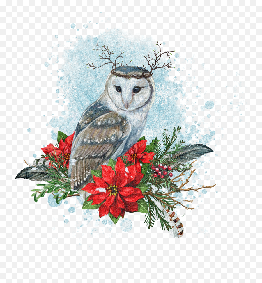 Download Seasonal Illustrations For Packaging And - Barn Owl Png,Barn Owl Png