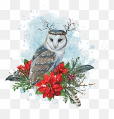 Download Seasonal Illustrations For Packaging And - Barn Owl Png,Barn Owl Png
