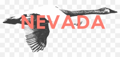 Nevada Hunt 41 - Golden Eagle Png,Nevada Png