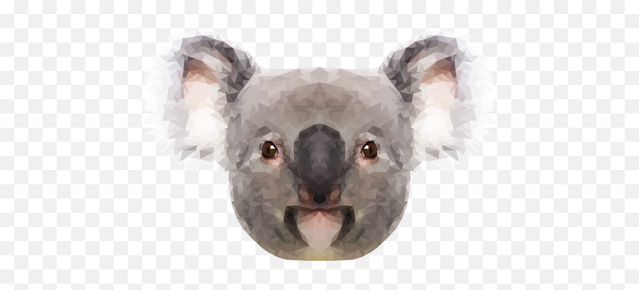 Koala Bear Clipart Tumblr Transparent - Koala Front Png,Koala Bear Png