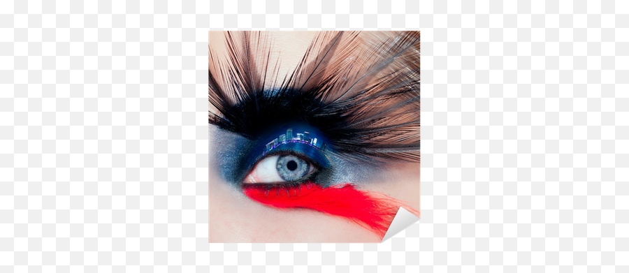 Black Bird Woman Eye Makeup Macro Night City Eyelid Sticker U2022 Pixers - We Live To Change Maquillaje De Ojos De Playa Png,Eyelid Png