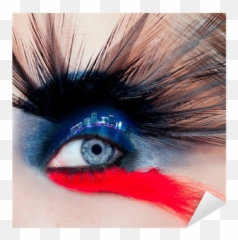 Black Bird Woman Eye Makeup Macro Night City Eyelid Sticker U2022 Pixers - We Live To Change Maquillaje De Ojos De Playa Png,Eyelid Png