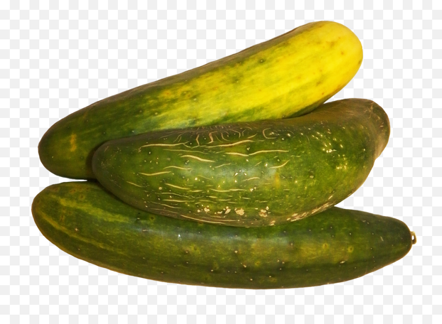Vegetables Clipart - Spreewald Gherkins Png,Cucumber Png
