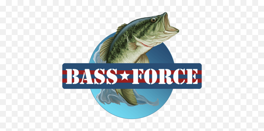 App - Bleed Green Png,Bass Fish Logo