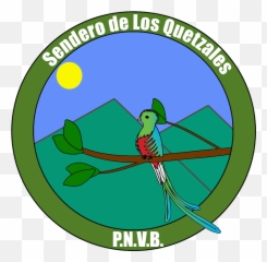 Parrot Clipart Quetzal Bird Picture 1831552 - Blue Peace Sign Png,Quetzal Png