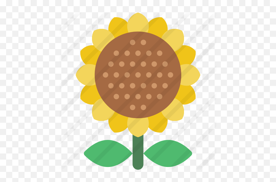 Sunflower - Dot Png,Sunflower Icon