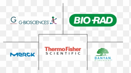 Central Nervous System Biomarkers Market Growth Trends - Banyan png