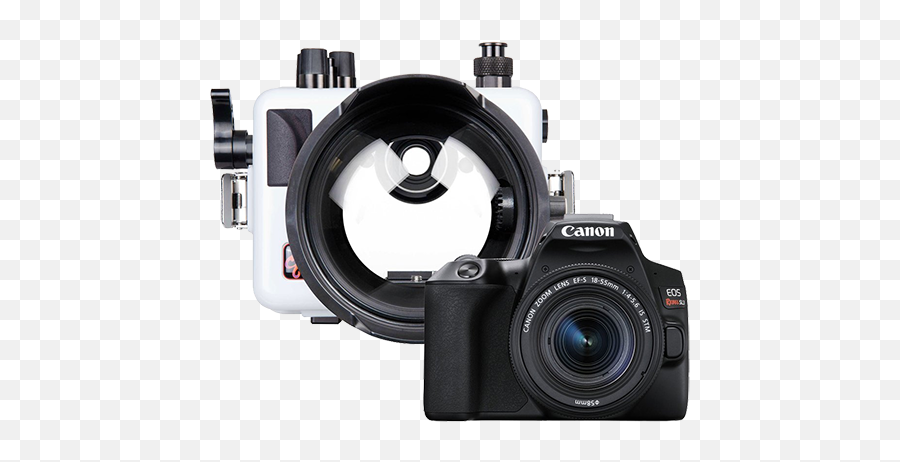 Ikelite Canon Sl3 Camera Lens And Housing Package - Adalaj Stepwell Png,Canon Camera Icon