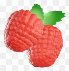 Raspberry Icon - Download in Colored Outline Style Fresh png