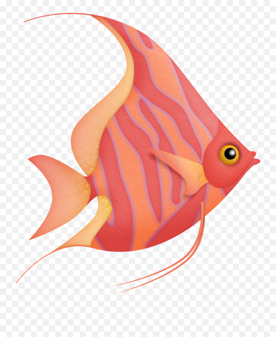 Fish Swimming In Money Clipart Freeuse - Cute Angel Fish Drawing Png,Fish Swimming Png
